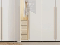 Шкаф распашной коллекции Adapta TDS-SH-011 из категории  фото-3