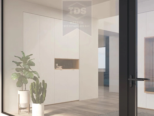 Шкаф в прихожую TDS-SH-028 из категории  фото-2