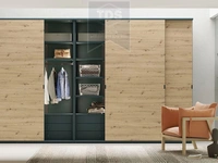 Шкаф купе, коллекция Adapta TDS-SH-014 из категории  фото-2