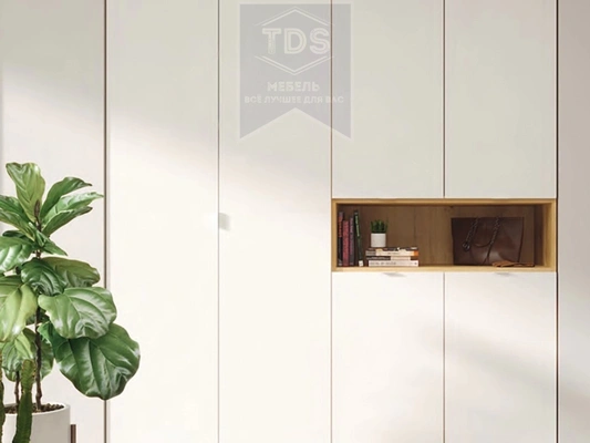 Шкаф в прихожую TDS-SH-028 из категории  фото-1