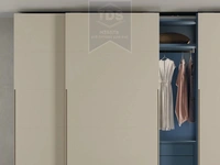 Шкаф купе, коллекция Adapta TDS-SH-016 из категории  фото-2
